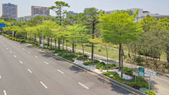 3kCP4S8G采集到道路绿化