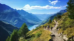 山顶人物树木草地素材图片