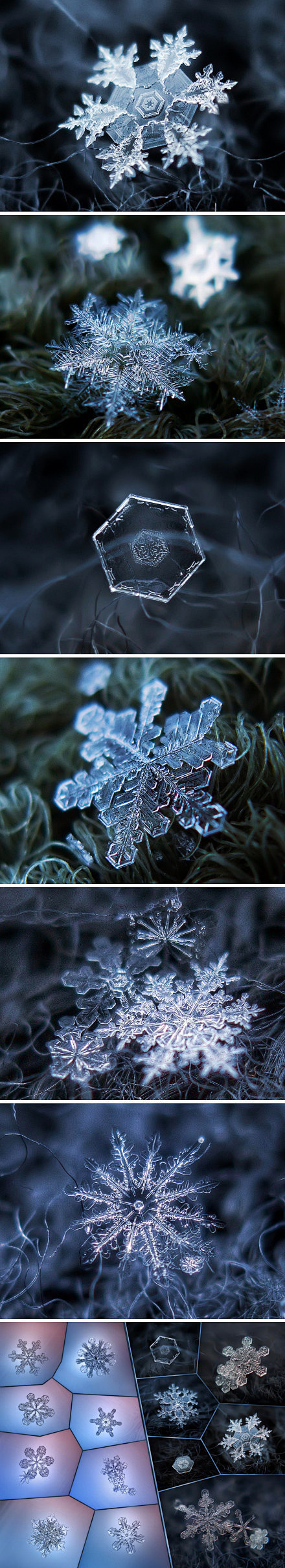 冰晶的雪花，细细小小，却这样的多姿~~