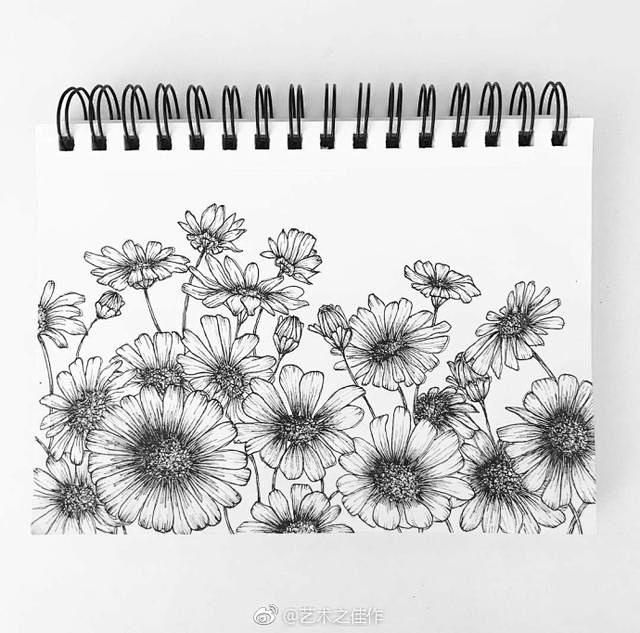手绘花卉 、花卉黑白线稿，艺术之佳作~