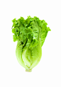 生菜