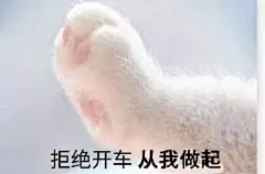 500张各种沙雕表情包（史上最全版）