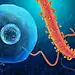 血小板细菌病毒胞杆菌孢子蛋白毒素医疗显微镜高清图片PS设计素材-淘宝网