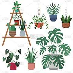 一套家居植物- -杏仁、仙人掌、菲克斯、龙舌兰、龙舌兰、仙人掌.收集盆栽室内植物。家居装饰。矢量平面