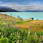 普卡基湖与库克山 Lake Pukaki & Mt. Cook-风景摄影-POCO摄影作品展示