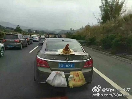 “后置发动鸡，双涡轮增鸭”