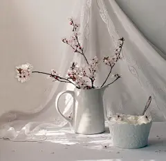 静物摄影│Julia Medvedev摄影师作品。