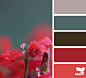 Design Seeds®: For All Who Love Color