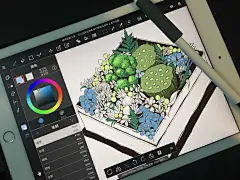 花盒手绘IPAD PRO