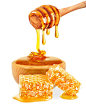美味的蜂蜜与蜂蜜棒高清图片 - 素材中国16素材网