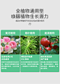 磷酸二氢钾花肥料家用钾养花种花复合肥绿植用花卉盆栽植物通用型-tmall.com天猫