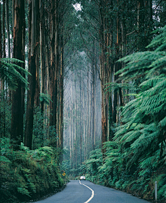 江南疏影采集到美景