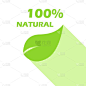 自然叶图标。100%自然矢量图像，插图