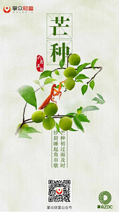 掌众ZDC采集到节气海报