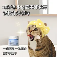 一些小众抽象不想上班表情包_6_麻辣黑白狸_来自小红书网页版