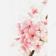 清新粉色樱花花桃花樱花 免费下载 页面网页 平面电商 创意素材