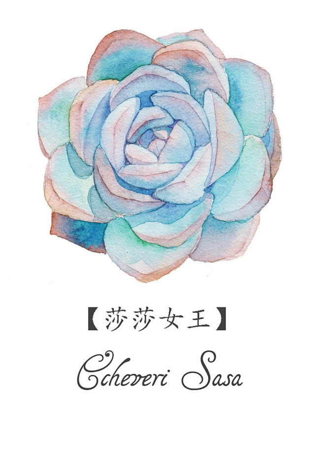 多肉们-丢丢丢丢丢掉惹_插画,水彩,多肉...