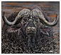 《黑牛》
尺寸：80x75
材料：丙烯    油画布