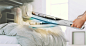 dbeat_00