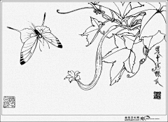 花羽集采集到素描——花草