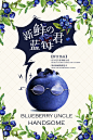 新鲜水果蓝莓君蓝莓海报