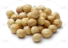 一堆芫荽子孤立在白色