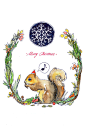 圣诞快乐～小松鼠的礼物是要多吃松子！