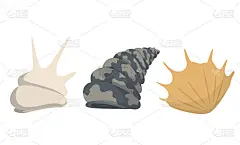 彩色热带贝壳水下图标收集。海军陆战队把可爱的贴纸贴在白色的背景上。矢量插图。非常适合做请柬、贺卡、海