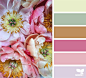 { charmed flora } image via: @fairynuffflowers  #seedscolor #color #colorpalette #color #palette #pallet #colour #colourpalette #design #seeds #designseeds