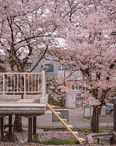 素默笙°采集到繁杂城市