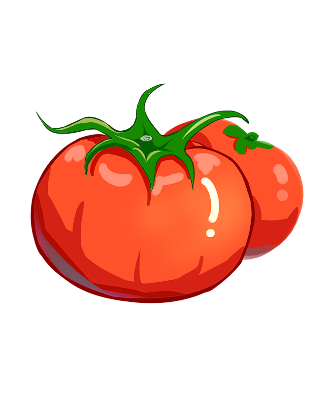 番茄插画