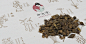 logo---中九堂 - 找项目 - 天琥云课堂 - 互联网设计在线教育平台