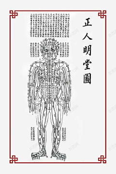 常德不离采集到美人