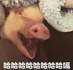 长得好看有什么用
宝宝长得这么好看
你们还是要吃我
右下角已阅
#帮找表情包原图# ​​​​