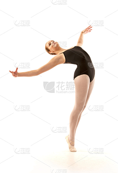 _蚊子采集到速写Pose