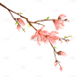 手绘-水彩花卉植物贴纸7