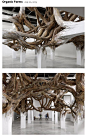 (161) Pinterest