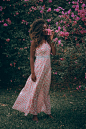 Woman Standing Near Pink Petaled Flower Plants