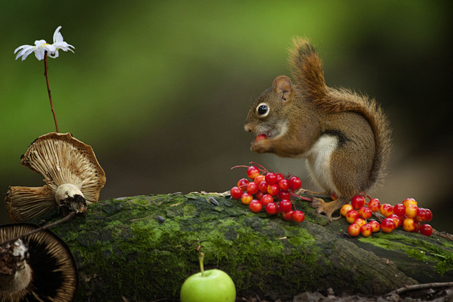 Andre Villeneuve在 50...