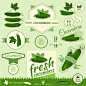 黄瓜、 蔬菜、 食品的产品标签、 背景包装设计