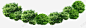 绿色清新树林高清素材 树林 清新 绿色 免抠png 设计图片 免费下载