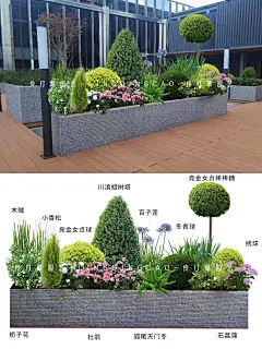 炎热夏季小花镜植物搭配·省心低维护太绝啦-花瓣网