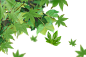 未标题-5
