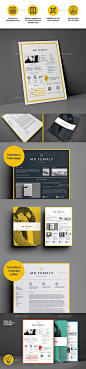 Visual Resume by Temp-ly: 