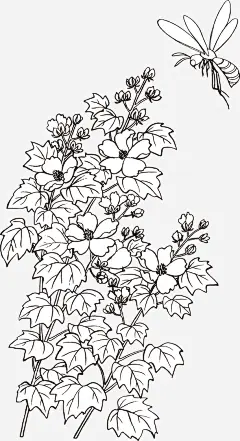 矢量手绘装饰线描花卉蜜蜂图案ai免抠素材_新图网 https://ixintu.com 手绘图案 花卉蜜蜂 手绘花朵叶子 儿童植物简笔画 线描花朵 手绘风装饰图案 创意