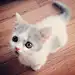 隐颖颍