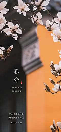 二十四节气春分海报-设计素材-shejisc.cn