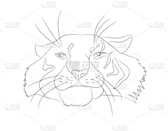 肖像,条纹,虎,野生动物,直的,哺乳纲,自然美,涂料,动物