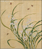 花鸟国画