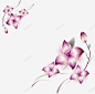 优雅紫色花朵对角花卉装饰高清素材 设计图片 页面网页 平面电商 创意素材
